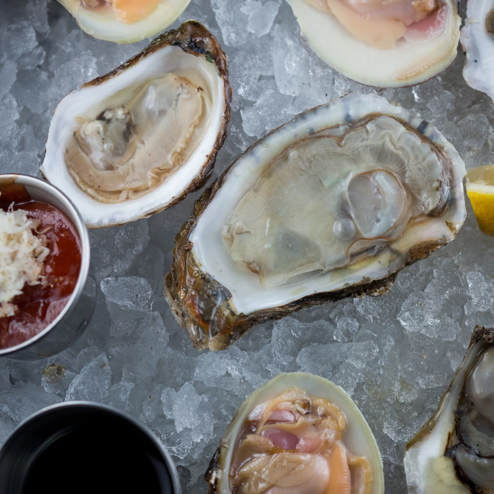 Willapa Bay Oysters - 50 PCS Live Pacific Oysters from Global Seafoods