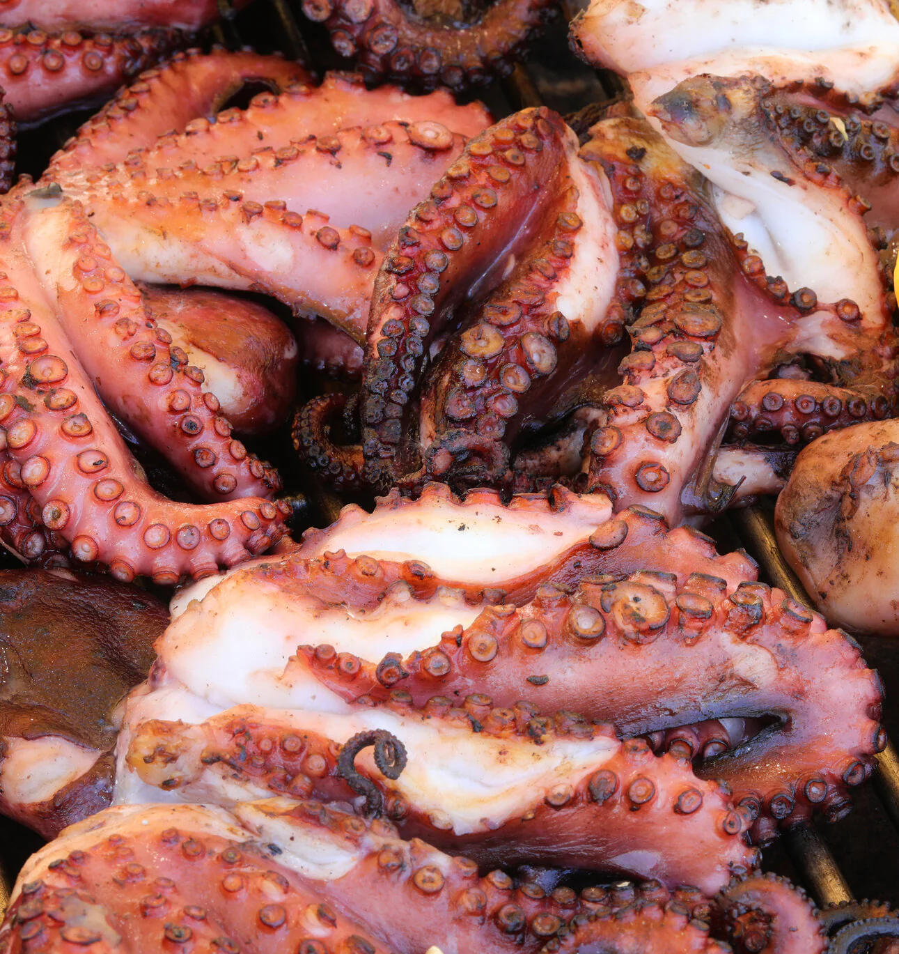 Premium Sashimi Broiled Octopus - A Delight for Seafood Lovers